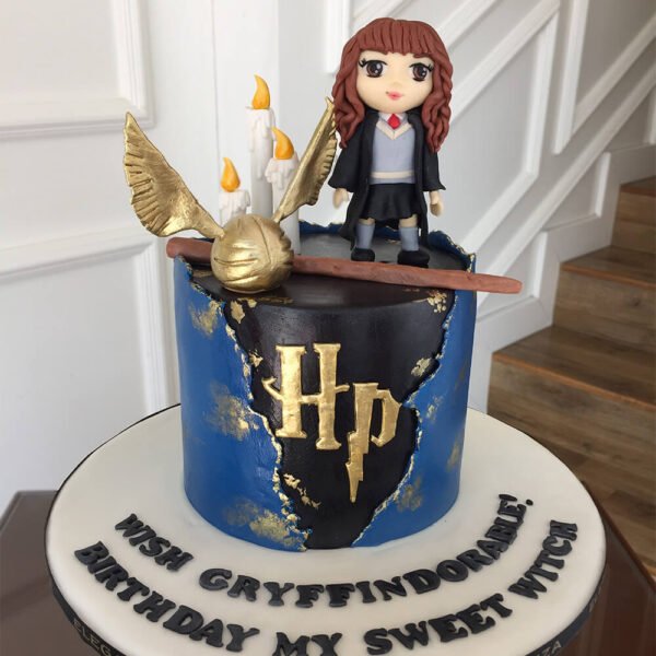 Harry porter cake 2