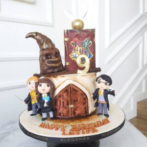 Harry porter cake